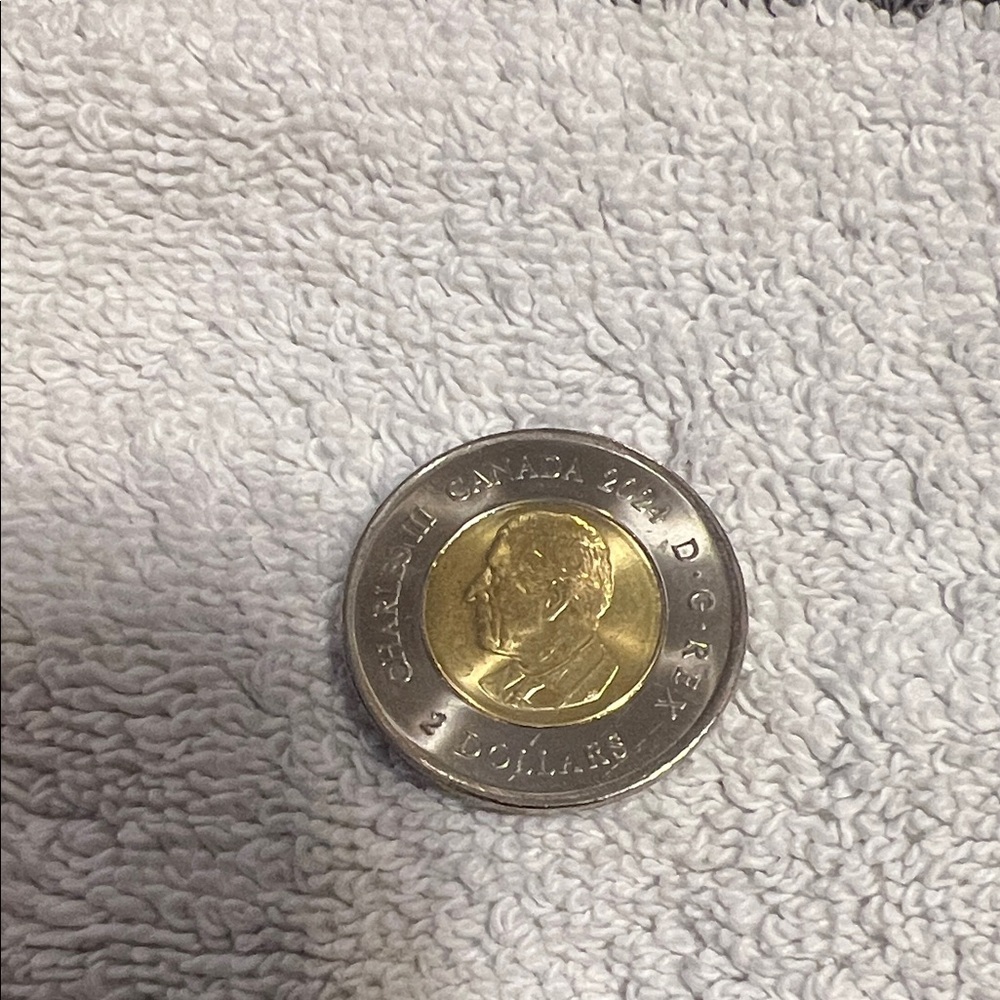 Canadian Colourful Toonie Coin - Picture 2 of 2